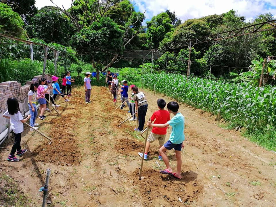 香港人文探索营(住宿营)