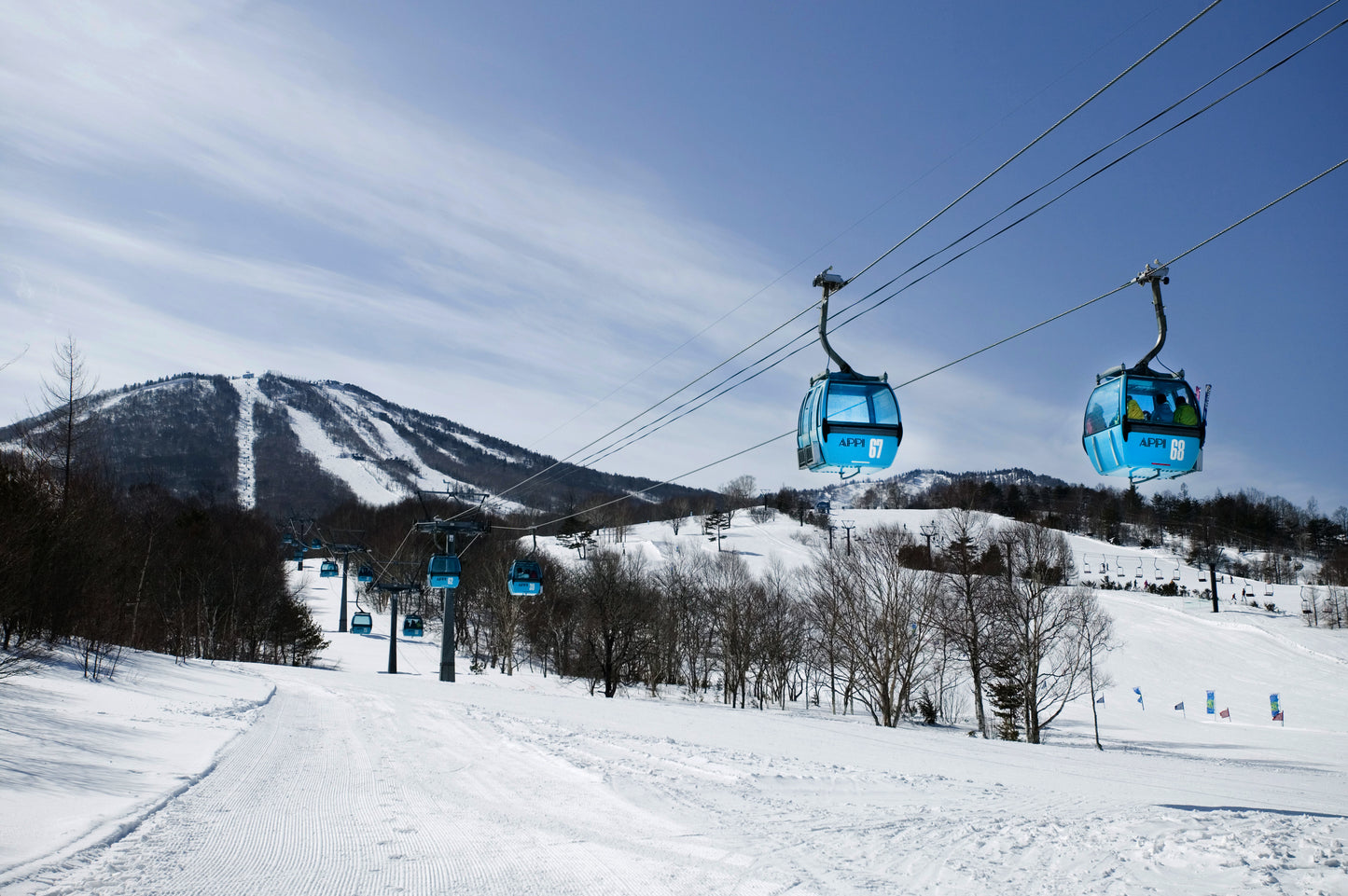 The Ski Slope (Family)