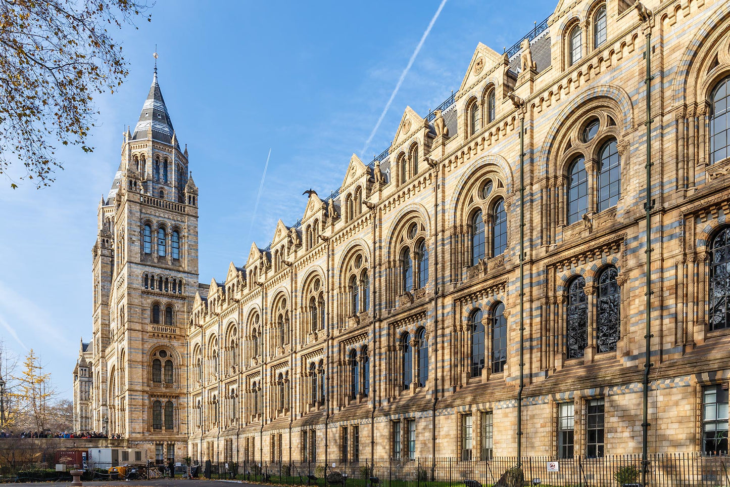 Foundations of the Future (AISL Harrow Students Only)