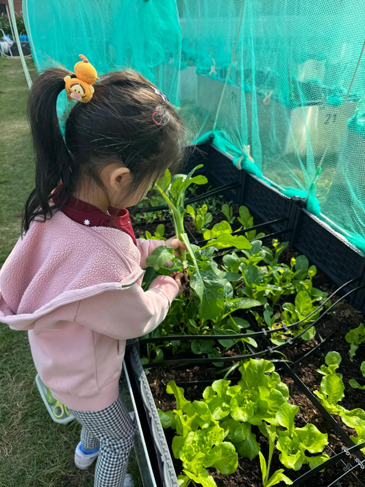香港人文探索营（住宿营）