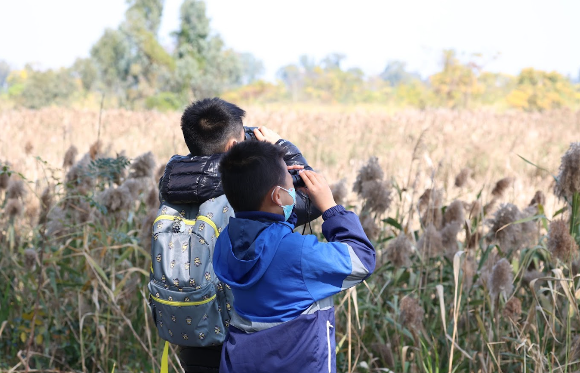 Let’s Go! Little Ecologists (Day Camp) 