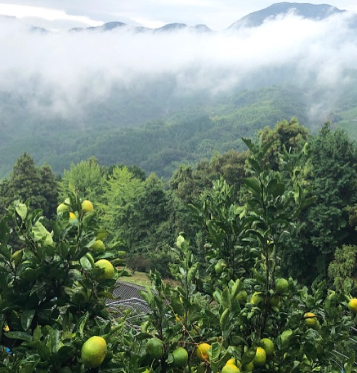 香港人文探索营（住宿营）