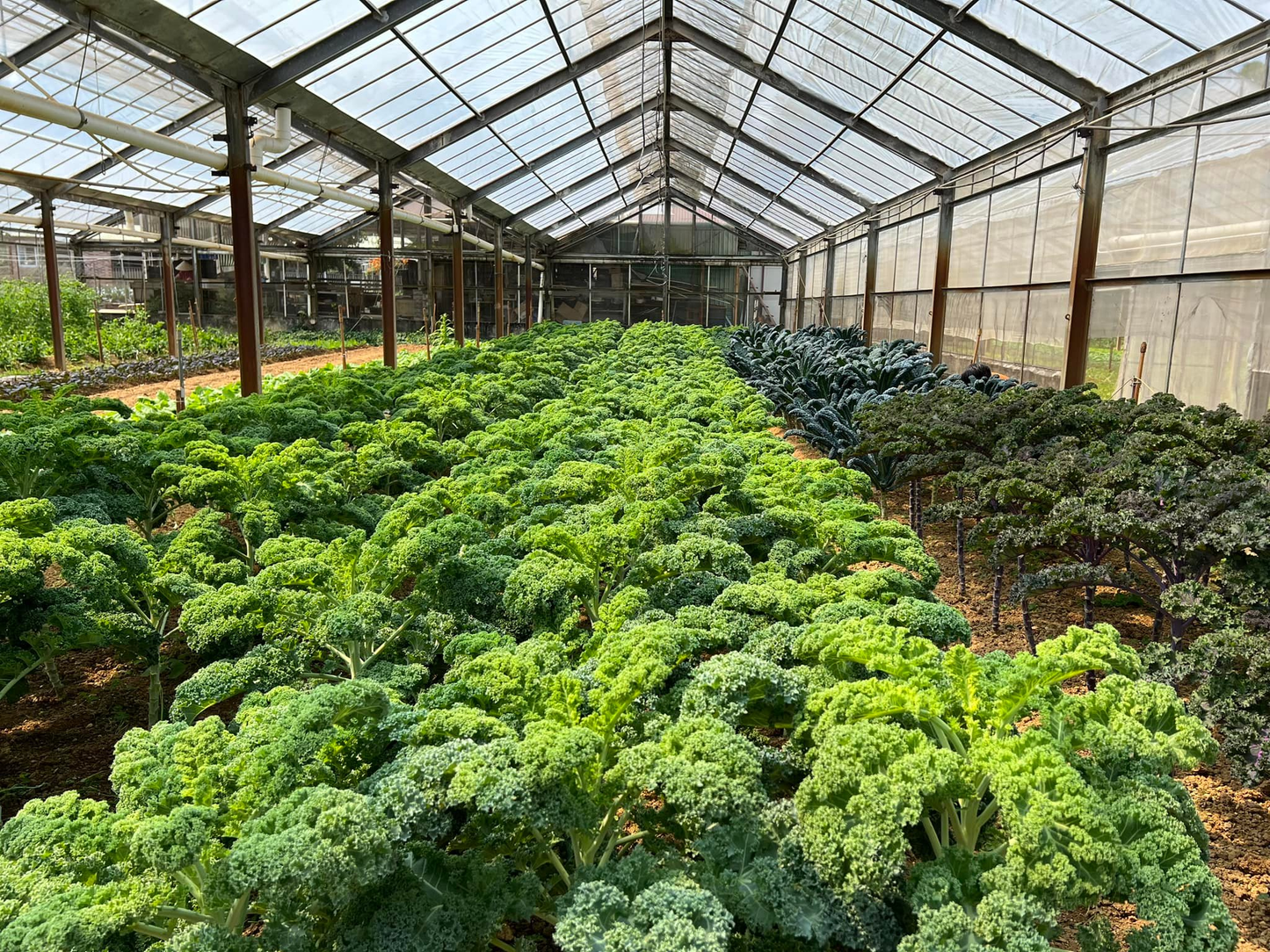 香港人文探索营（住宿营）