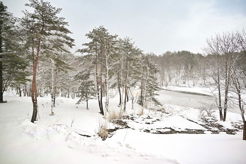 The Ski Slope (Family Camp)