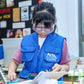 Mars Rover Challenge (Day Camp)