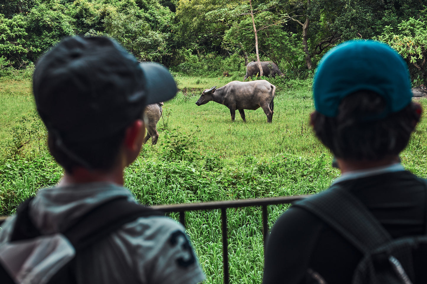Hong Kong Coastal Voyage (Residential & Day Camp)