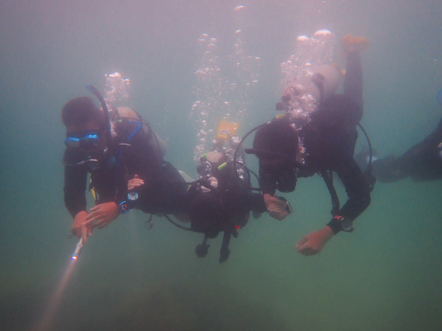 PADI Junior Open Water Diver (Day Camp)