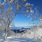 Myoko Ski Winter Camp (Residential Camp)