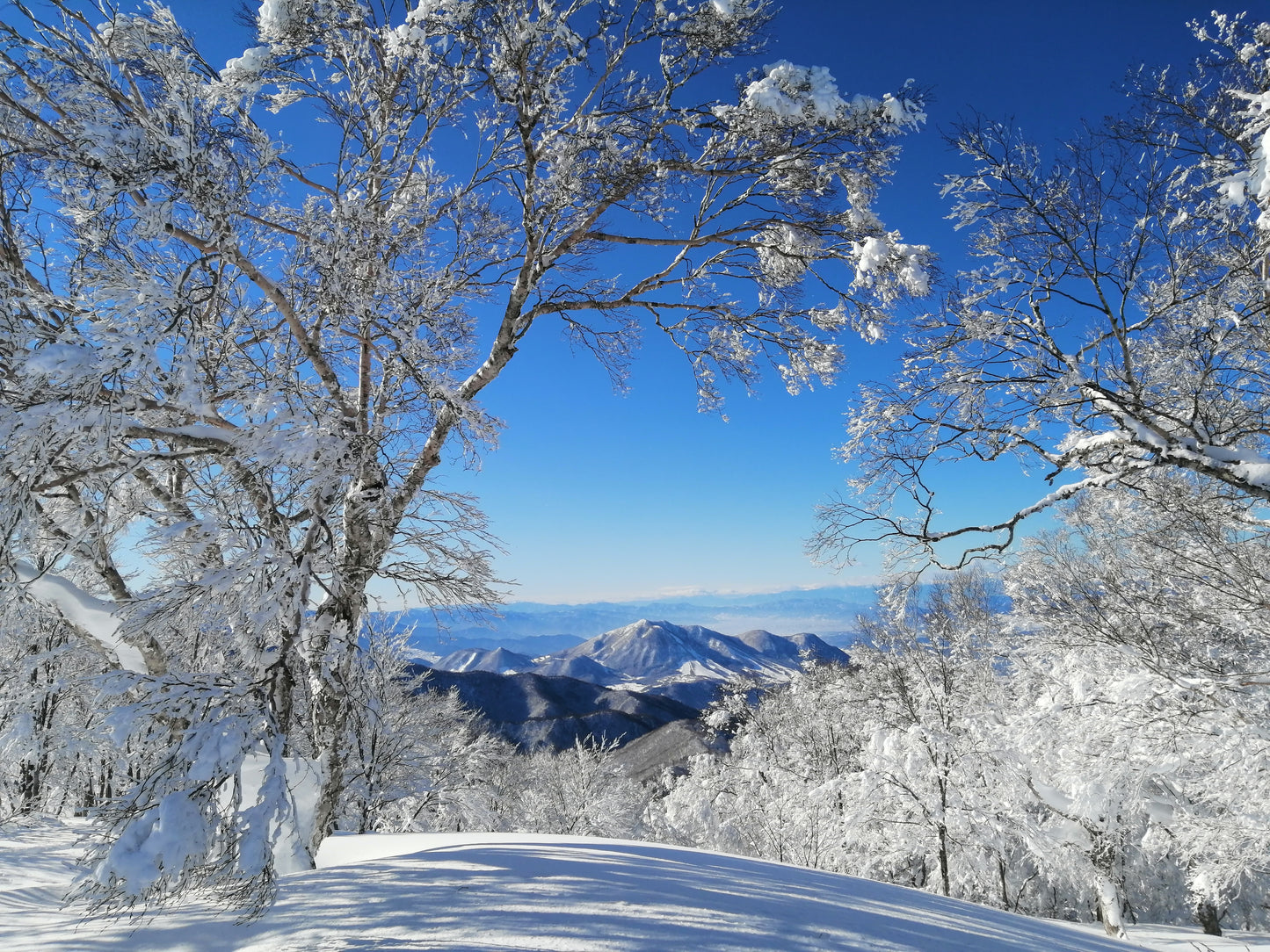 Myoko Ski Winter Camp (Residential Camp)