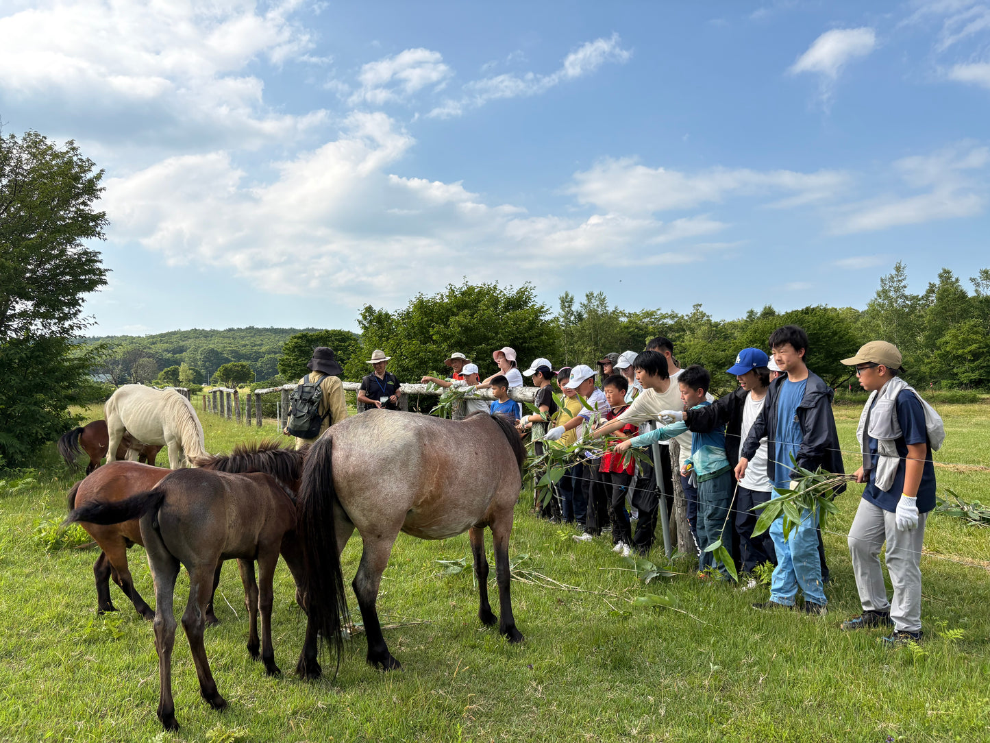 Eco Rangers Academy (Residential Camp)