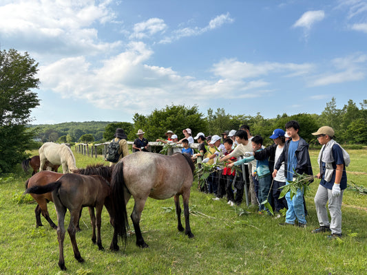 Eco Rangers Academy (Residential Camp)