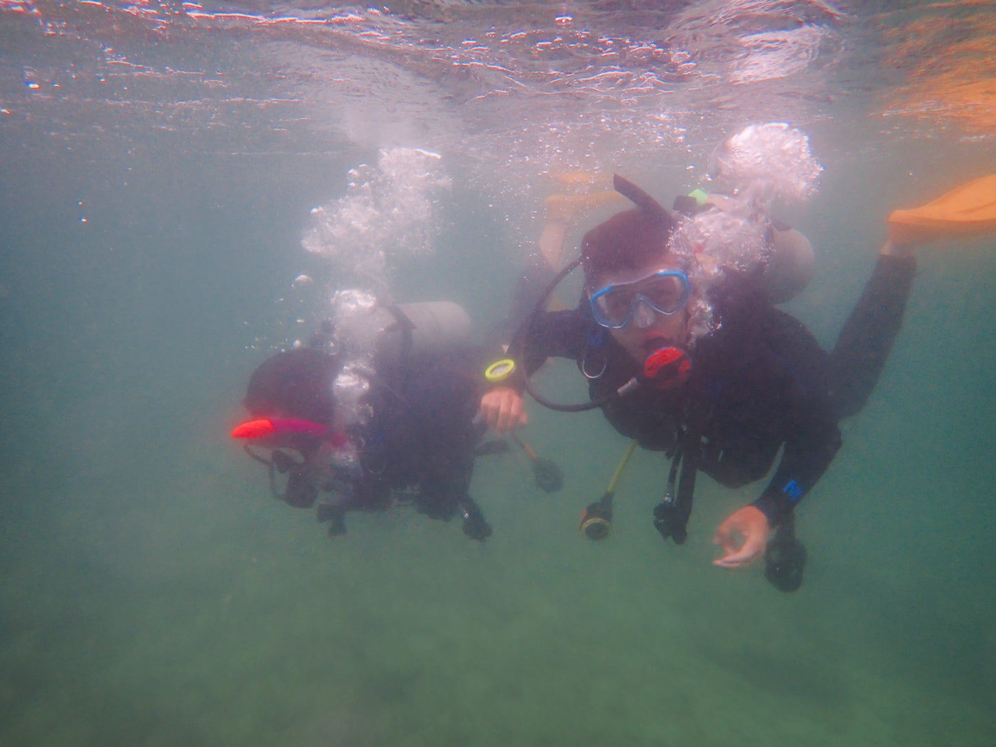PADI Junior Open Water Diver (Day Camp)