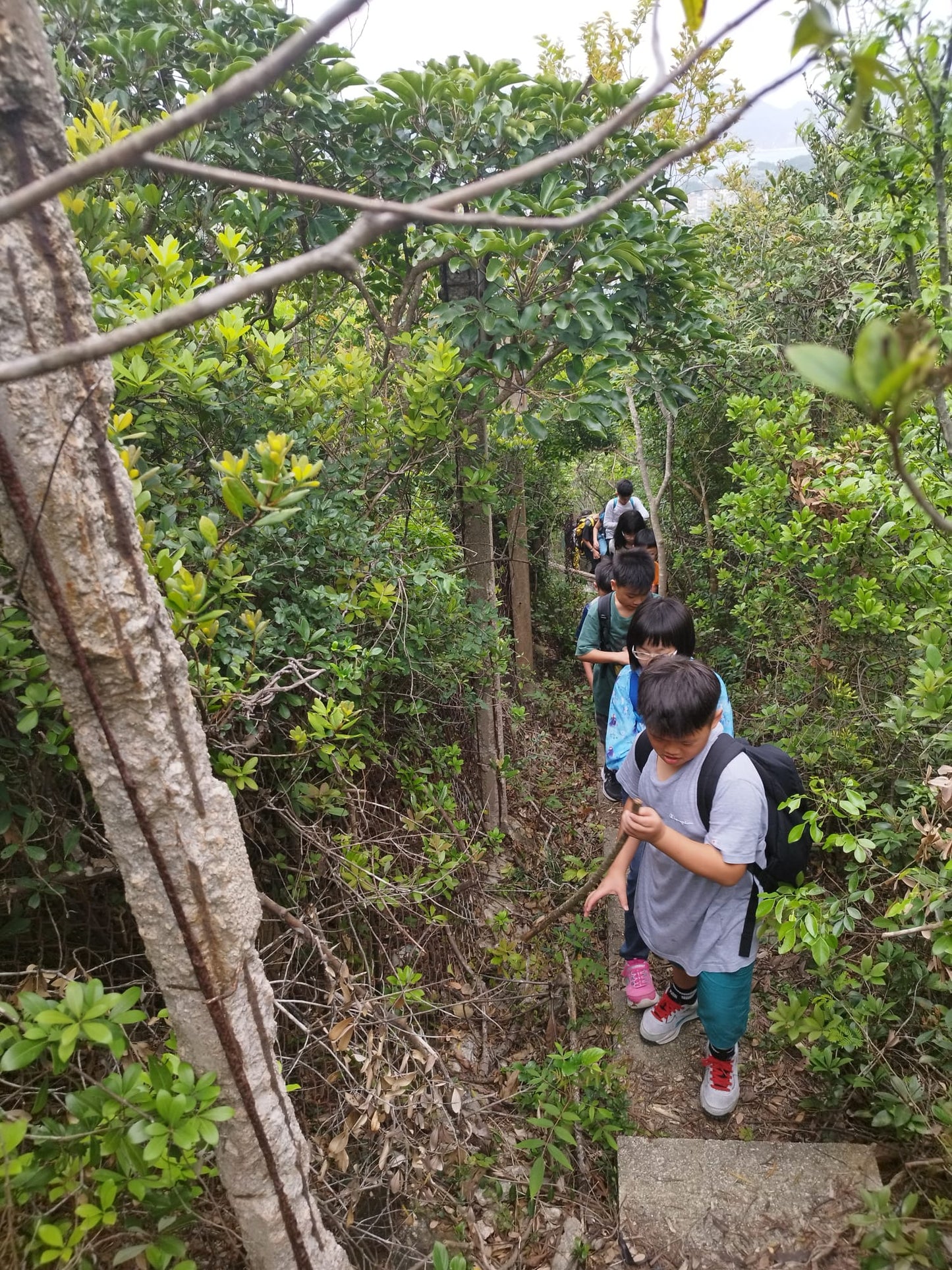 Sustainability and Natural Science Camp (Residential Camp)