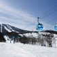 The Ski Slope (Family)