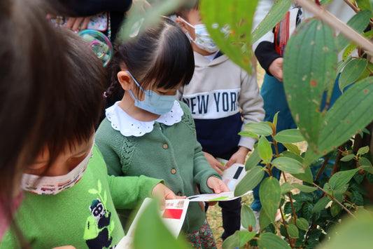 Let’s Go! Little Ecologists (Day Camp)