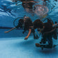 PADI Seal Team (Day Camp)