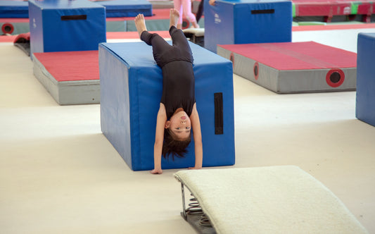 Flip & Fun Winter Gymnastics (Half-day camp)