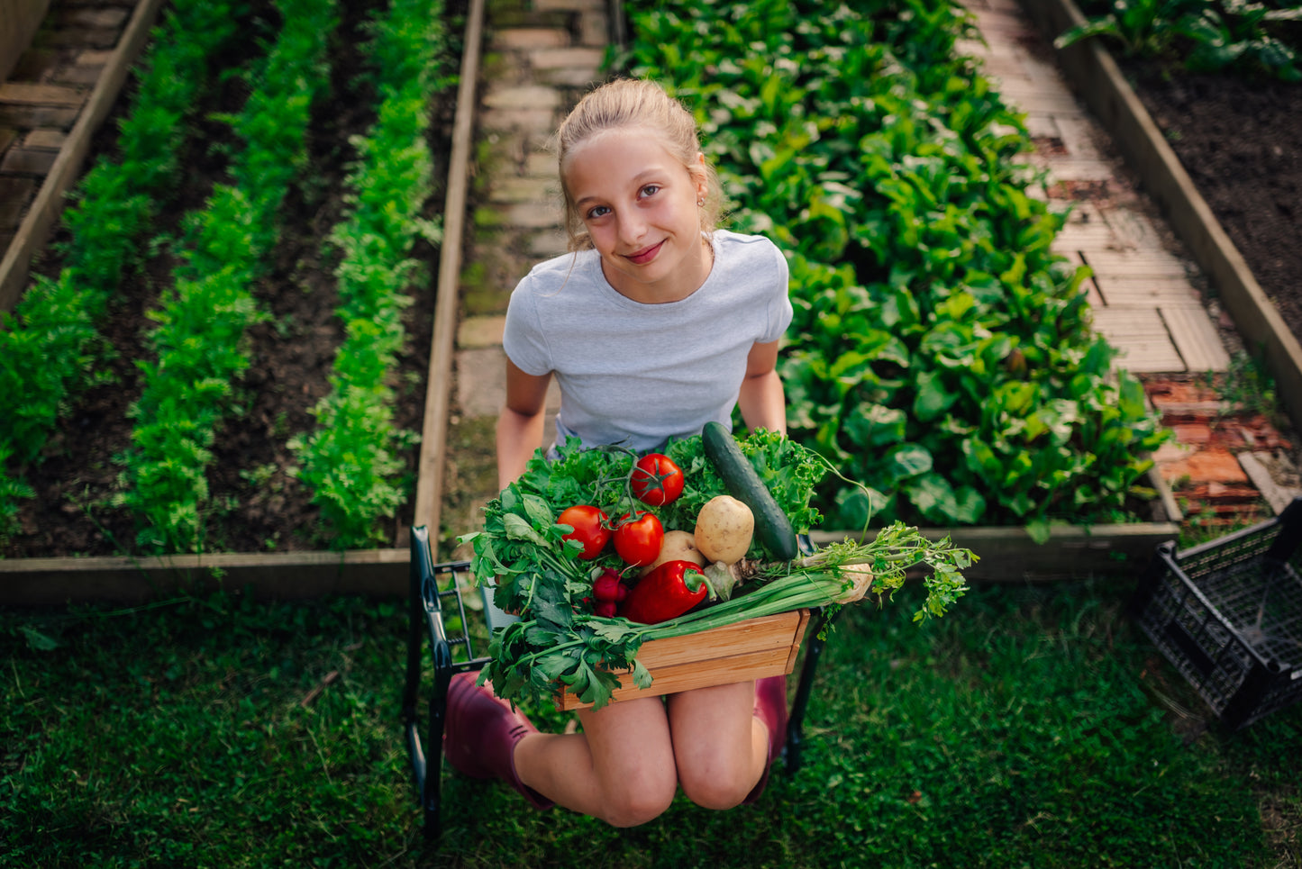 香港人文探索营（住宿营）