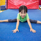 Flip & Fun Winter Gymnastics (Half-day camp)