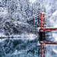 Myoko Ski Winter Camp (Residential Camp)