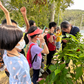 Let’s Go! Little Ecologists (Day Camp) 